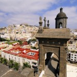 Las palmas